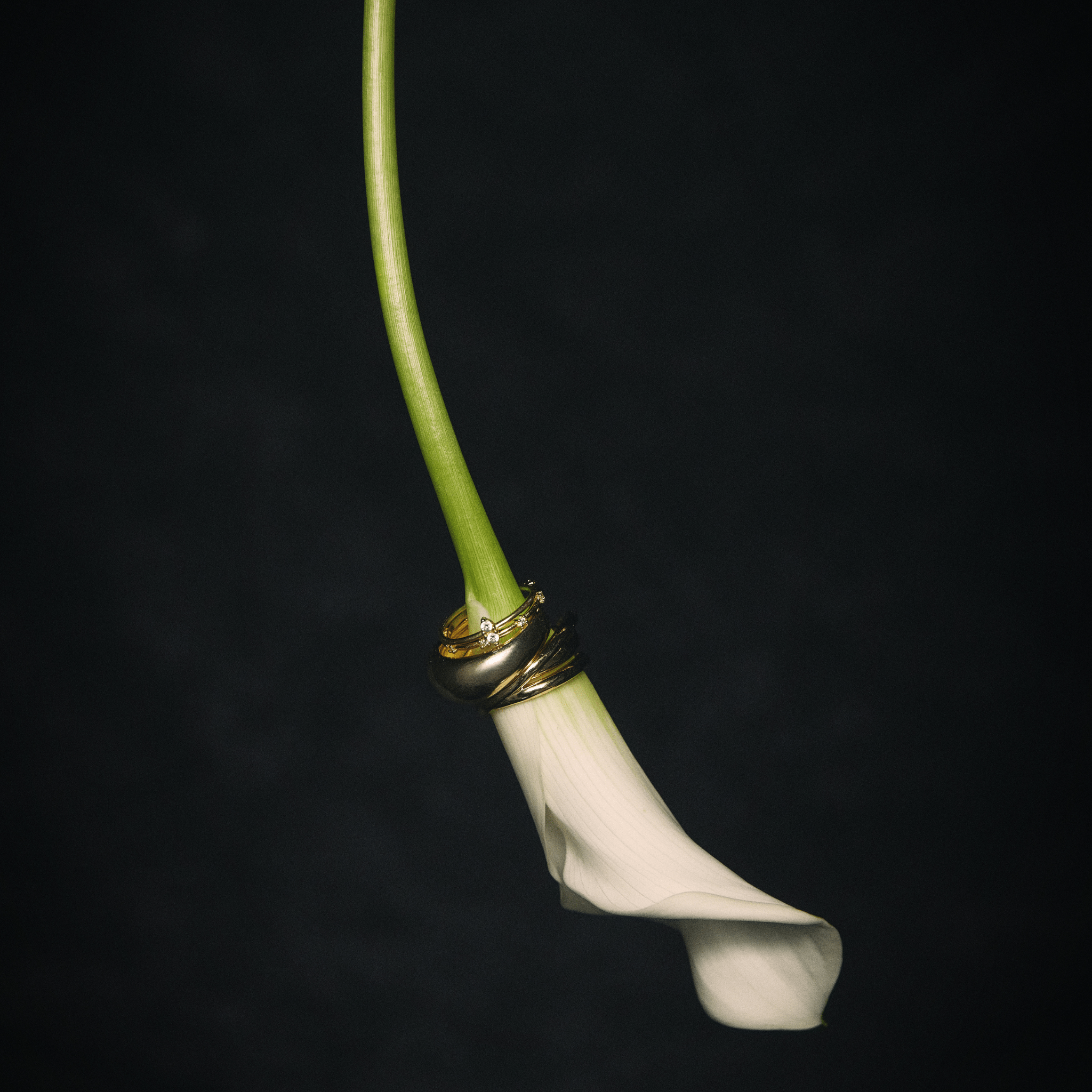 Aurora Stacking Ring 18K Gold Vermeil - Sonter Studio