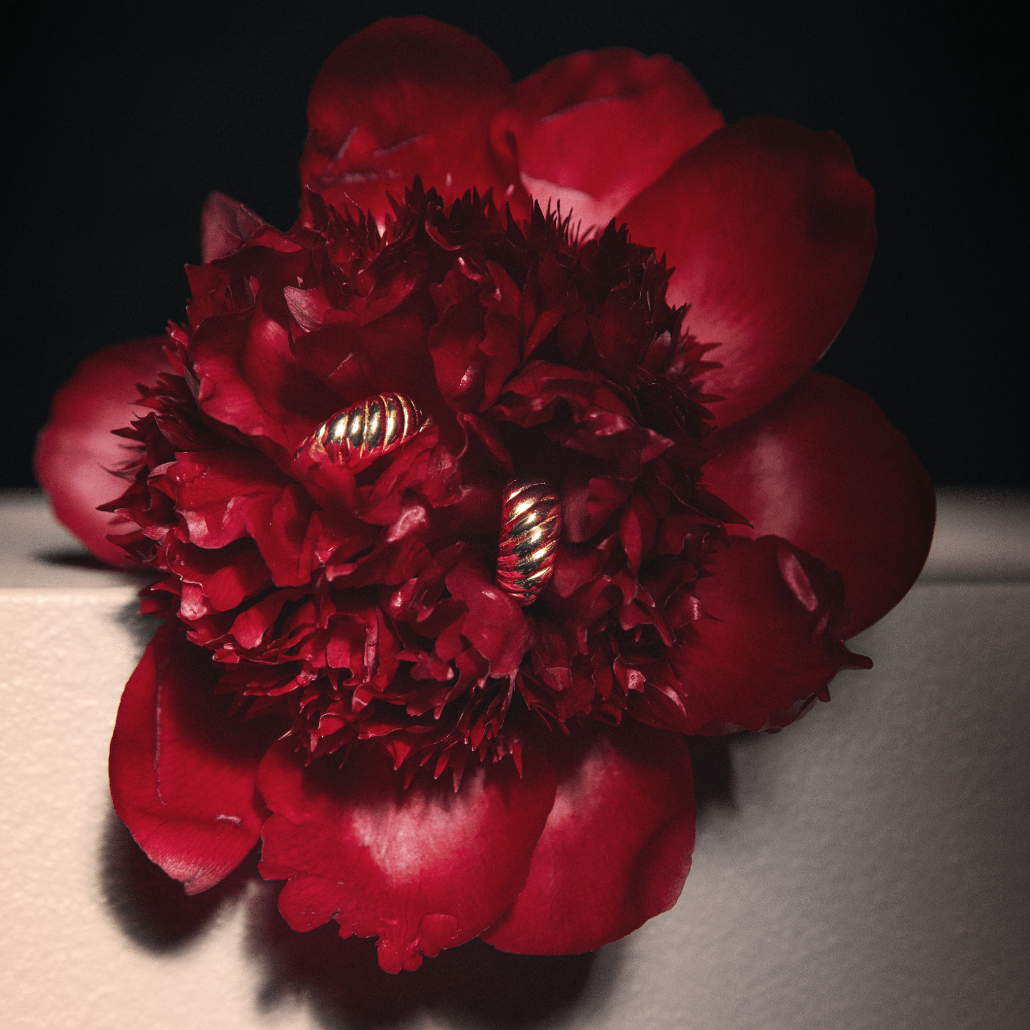 Florence Earrings - Sonter Studio