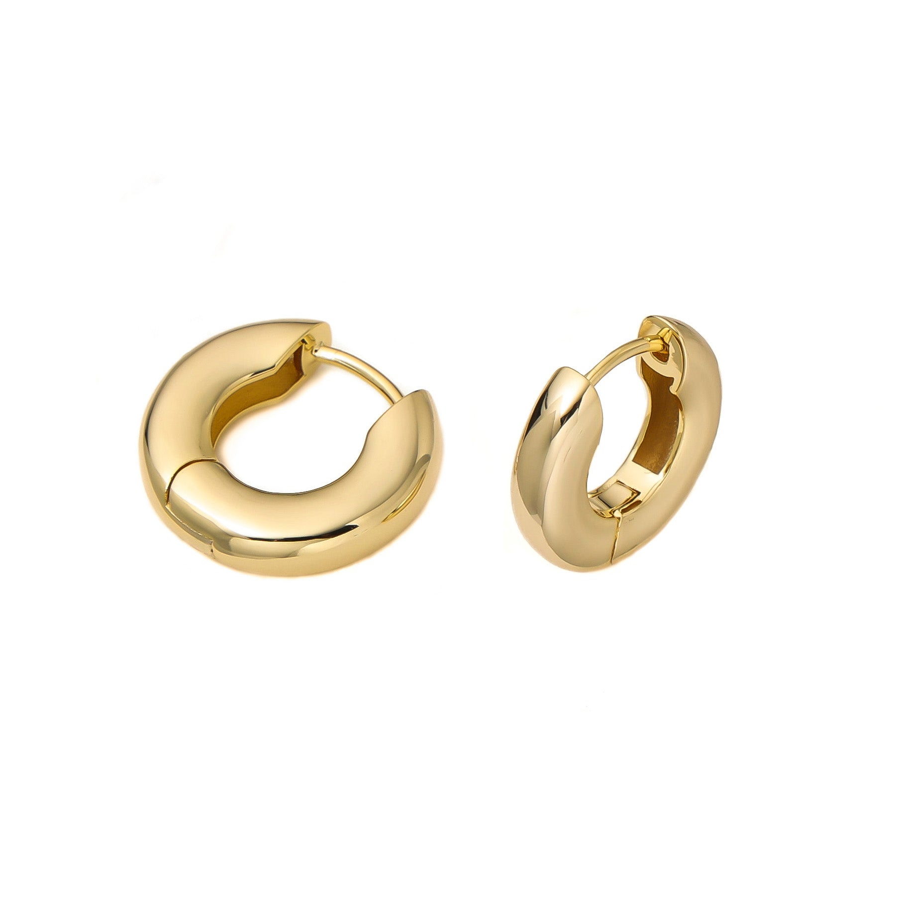 Bianca Hoop Earrings